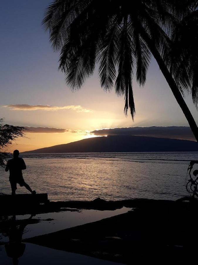 Deluxe Oceanview Maui Studio..New & Updated Kahana Eksteriør bilde